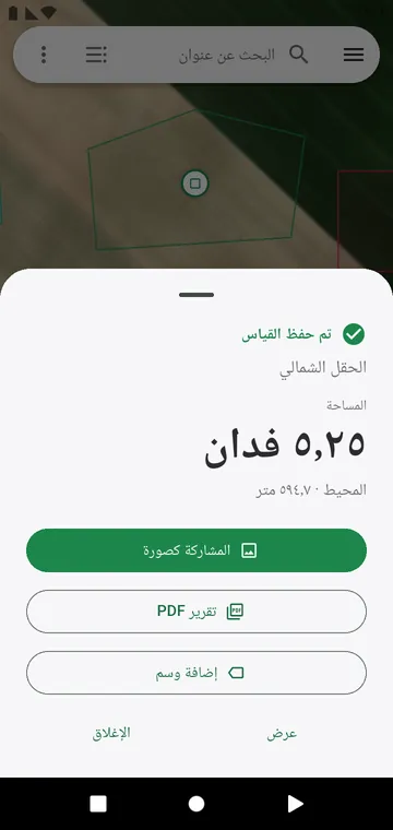 النتيجة بعد الحفظ، جاهزة للمشاركة كصورة أو PDF
